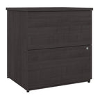 Archivador lateral de 2 cajones, estilo clásico – Carbón / Gris / Plateado / Blanco