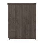 Archivador lateral de 2 cajones, estilo clásico – Carbón / Gris / Plateado / Blanco
