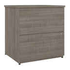 Archivador lateral de 2 cajones, estilo clásico – Carbón / Gris / Plateado / Blanco